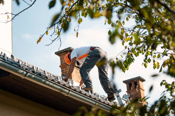 Emergency Roof Repair in Buffalo Grove, IL