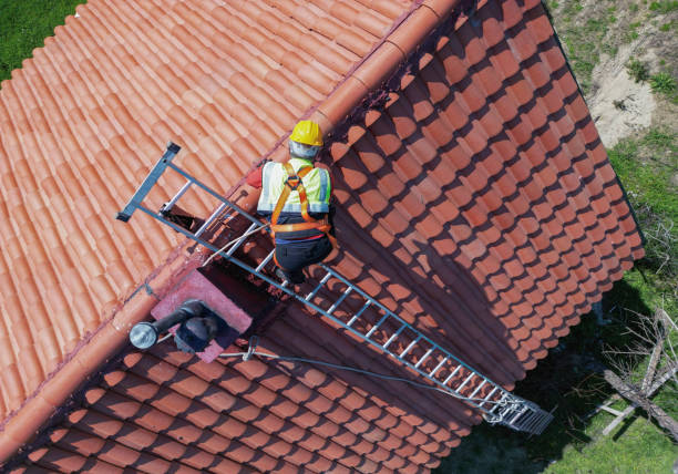 Best Rubber Roofing (EPDM, TPO)  in Buffalo Grove, IL